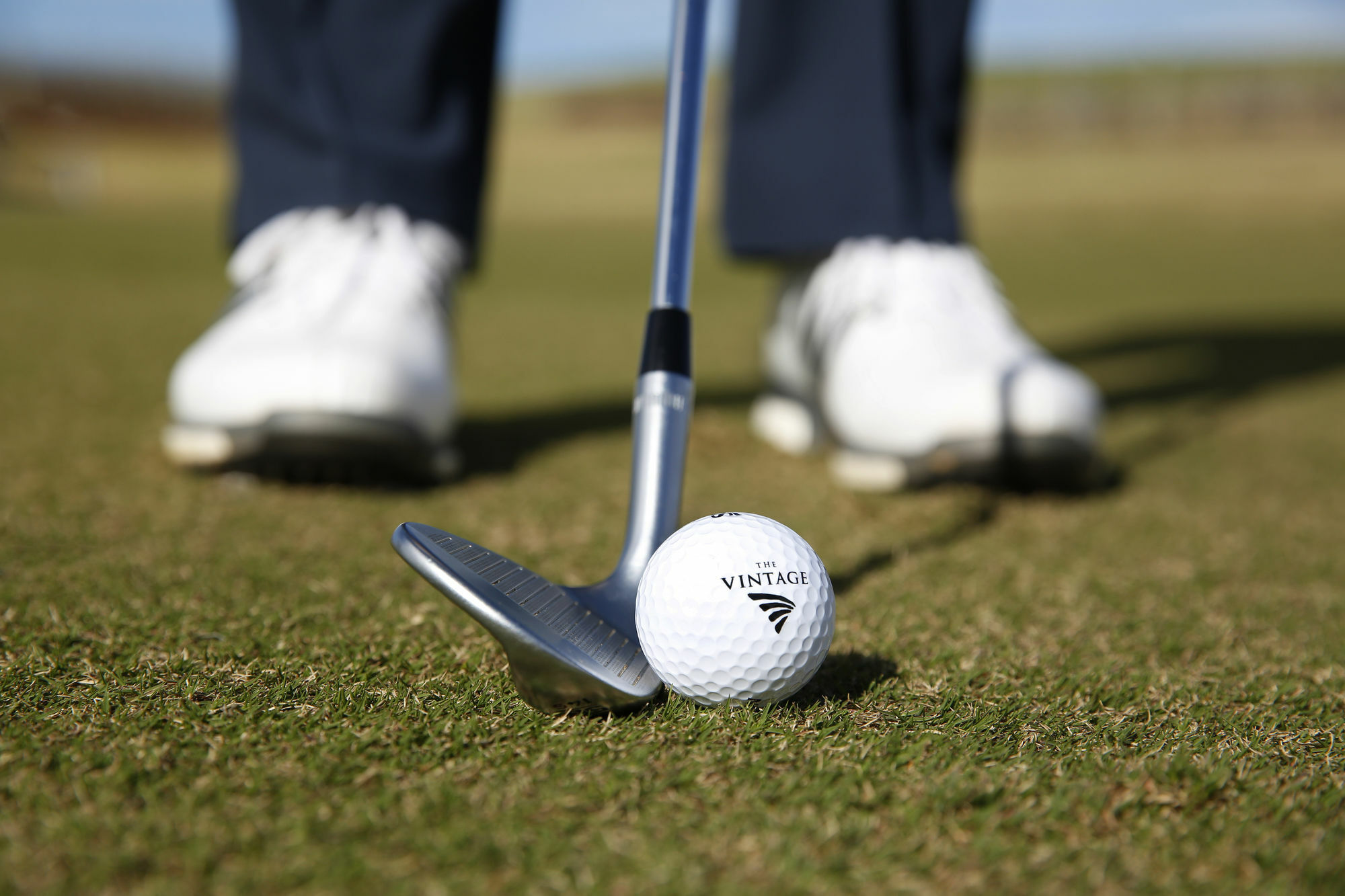 Chateau Elan At The Vintage Pokolbin Exteriör bild Golf ball and club